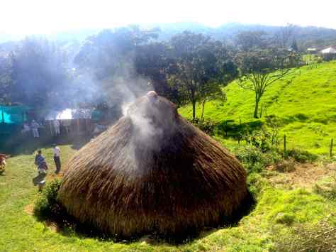 Ayahuasca-retreat
