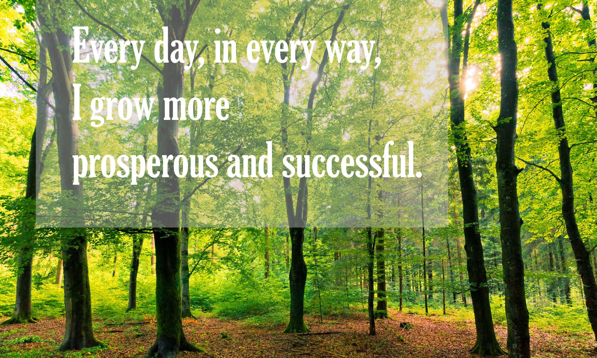 Every day in every way, I grow more prosperous and successful