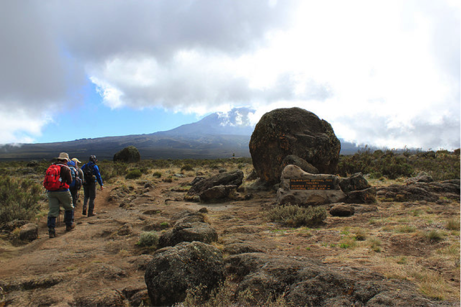 Kilimanjaro4